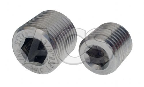 Stainless Steel Internal Hex Male BSP and NPT Plug