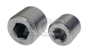 Stainless Steel Internal Hex Male BSP and NPT Plug