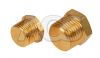 Brass Solid Hex Male BSPT and NPT Blanking Plug
