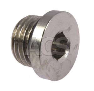 Plug Nickel Plated Brass Int Hex Metric & BSPP